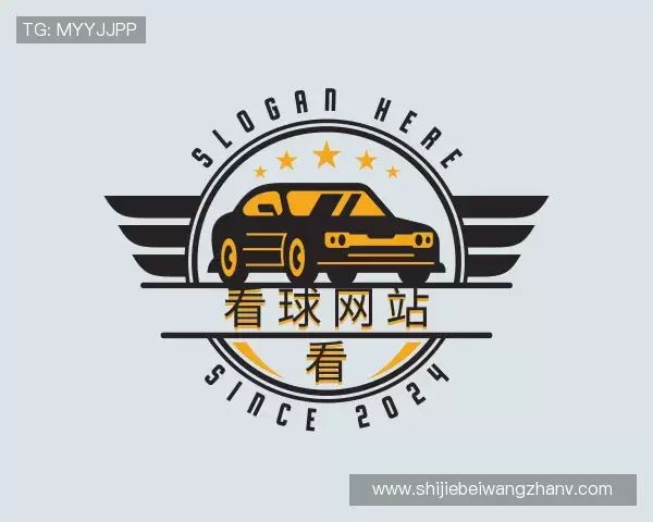 关于看球网站